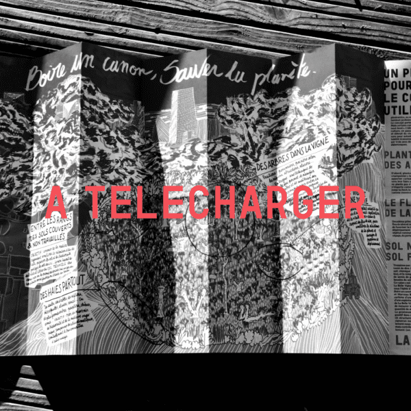 Vinofutur 1 à télécharger