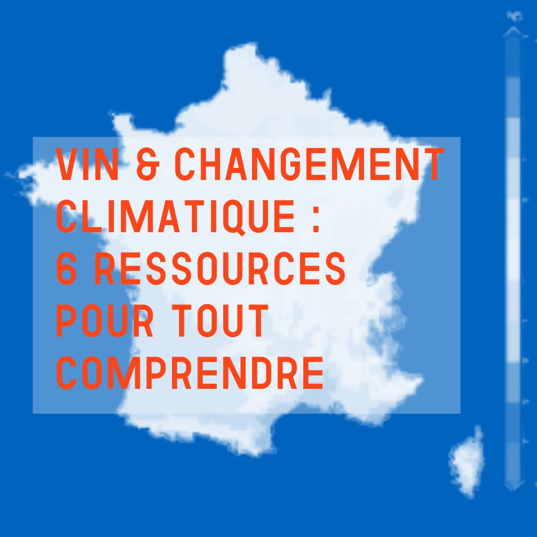 Changement climatique et vin, six ressources pour tout comprendre