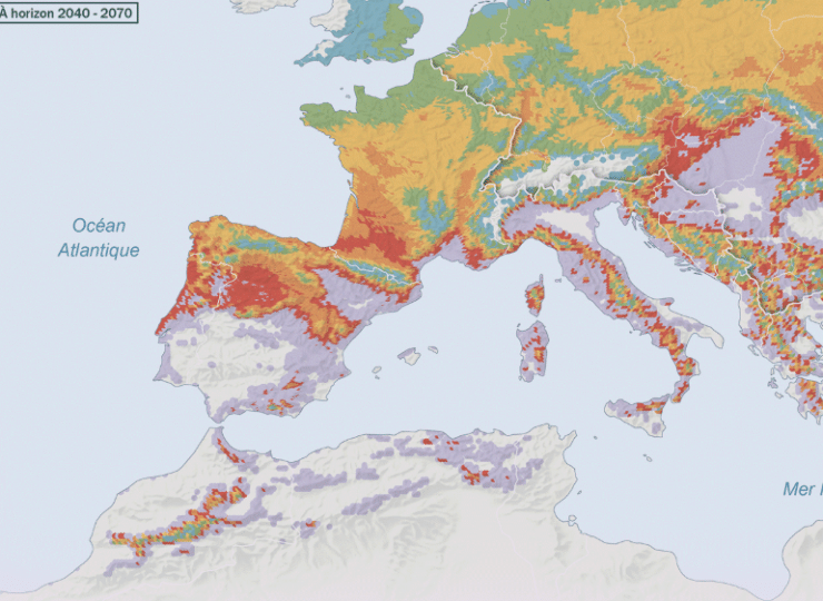 Veille. Quatre cartes du vignoble pour visualiser les impacts du changement climatique à venir