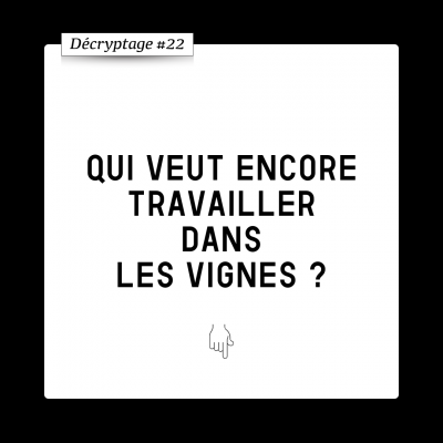 Décryptage #22 Le défi du manque de main d‘oeuvre viticole