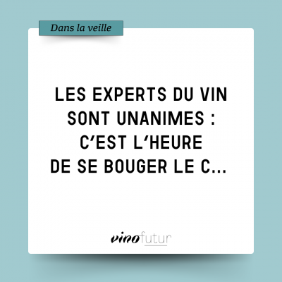 Les conseils des experts pour sortir de la crise viticole