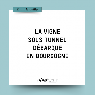 Demain, les vignes sous serre ?
