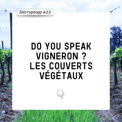 Décryptage #23 Les couverts végétaux dans les vigne