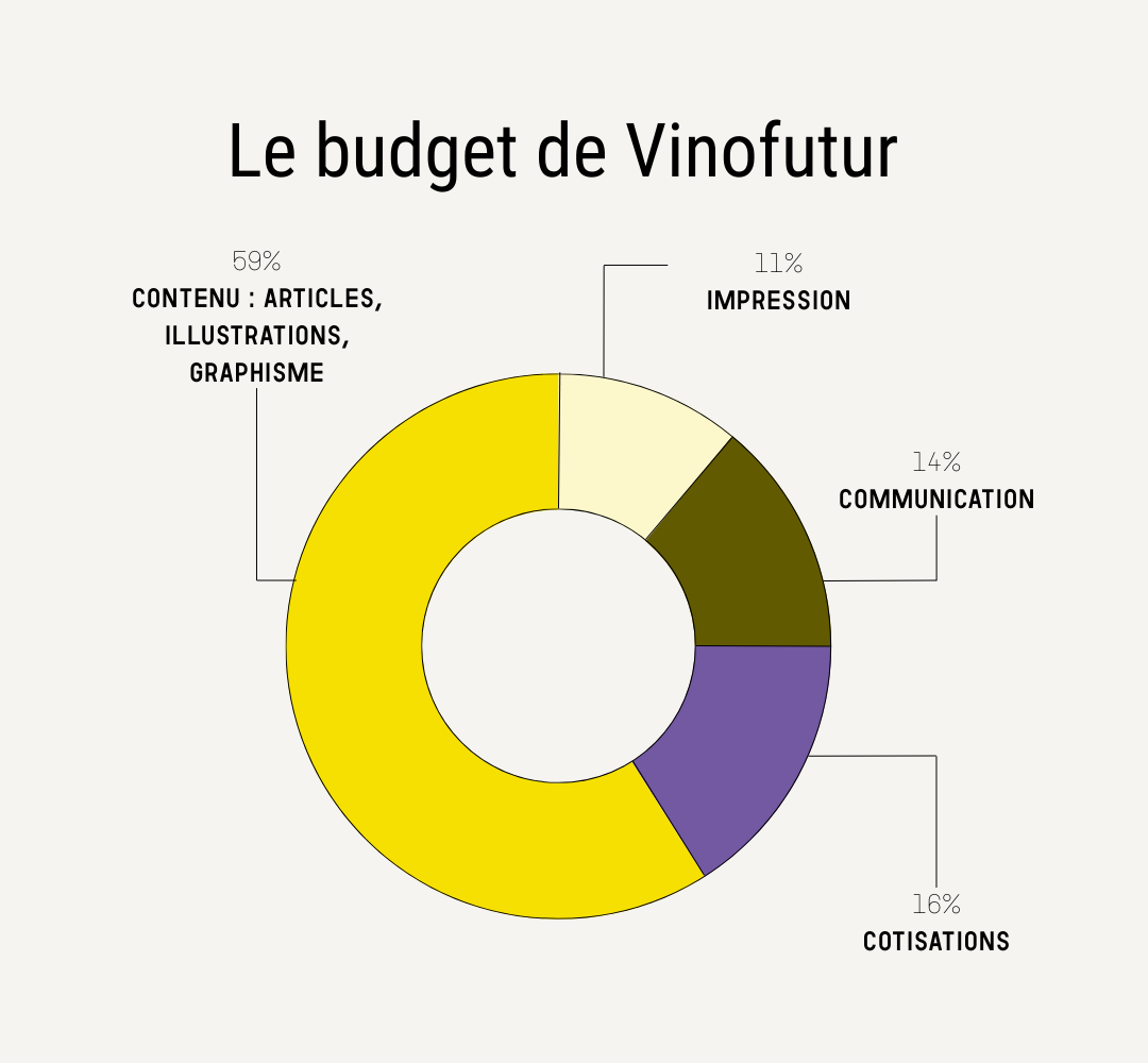 fond-carton Budget vinofutur