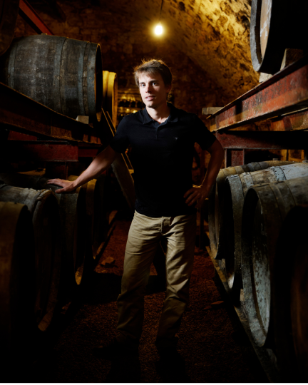 Défendre Vitis Vinifera, est-ce réac’ ? Valentin Morel répond