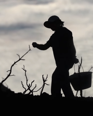 Corbières : un monde nouveau après l’incendie ?