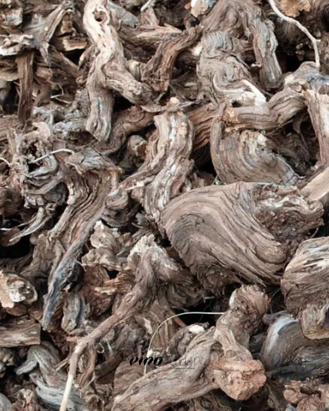 L'arrachage de vignes est en cours dans tous les vignobles. 39000ha ont déjà disparu, et ça continue.