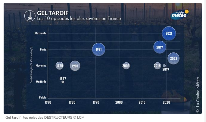 Les épisodes de gel tardif - @lachainemeteo
